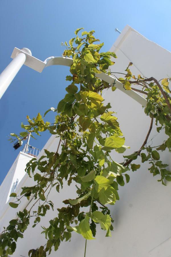 L'Angolo Di Ostuni - Home&Terracex4 Экстерьер фото